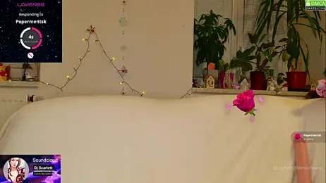 VenomVixen stripchat stream image