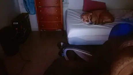 DADDY_KANE8--- stripchat stream image