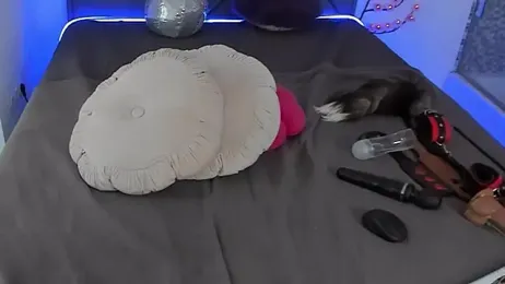 CassieEvans stripchat stream image