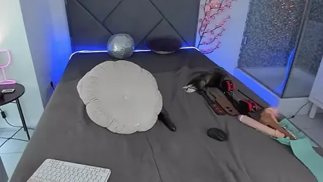 CassieEvans stripchat stream image