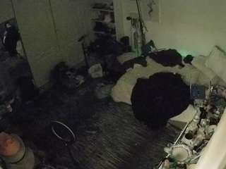 voyeurcam-hornyhostel-02 camsoda stream image