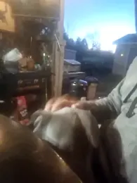 thickdaddy2982 stripchat stream image