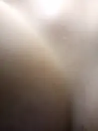 eva-2023 stripchat stream image