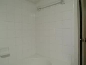 bigdicktrannynicole chaturbate stream image