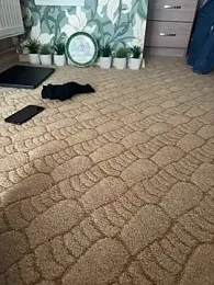 Michel_huge stripchat stream image