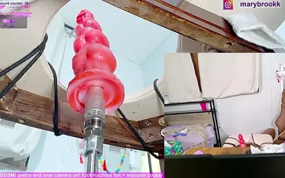 MaryBrook1 stripchat stream image