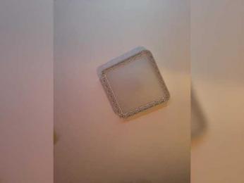 PALMIIRA bongacams stream image