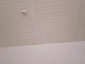 skyamber8v2 chaturbate stream image