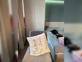 MelenaFox bongacams stream image