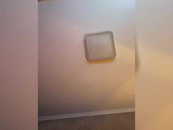 PALMIIRA bongacams stream image