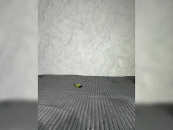 B_A_B_Y___111 bongacams stream image