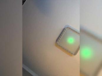 PALMIIRA bongacams stream image