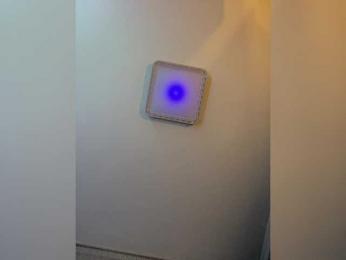 PALMIIRA bongacams stream image