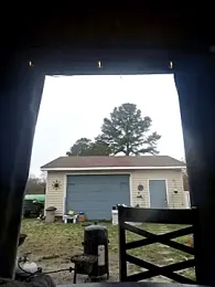 thickdaddy2982 stripchat stream image