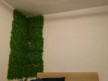 EmilyxJames bongacams stream image