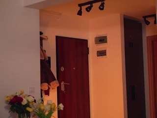 adalline camsoda stream image