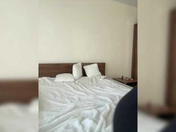 BabyDarii bongacams stream image