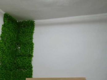 EmilyxJames bongacams stream image