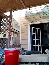 thickdaddy2982 stripchat stream image