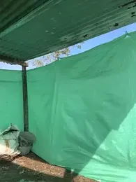 DIANITA_1988 stripchat stream image