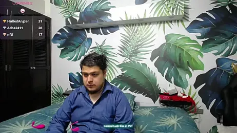 narendra_dayaramm stripchat stream image, 28.03.2025 19:10
