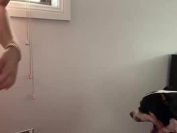 kittengirlxo chaturbate stream image