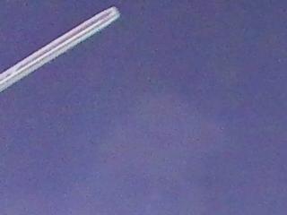 Tanya Hanks flirt4free stream image