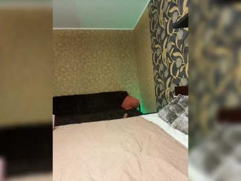 LouiseJenkin bongacams stream image