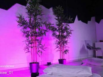 VanesaSimon bongacams stream image