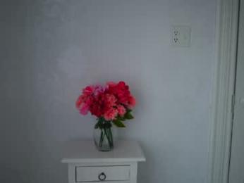 littlegreekflower chaturbate stream image