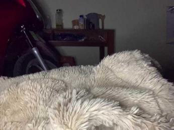 Meliy bongacams stream image