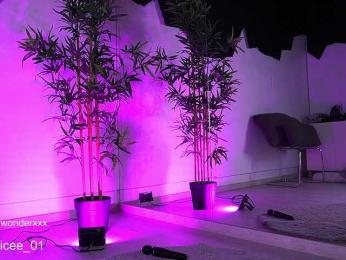 VanesaSimon bongacams stream image