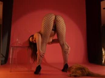 _meganmeow_ chaturbate stream image