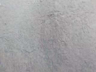 lamonna camsoda stream image