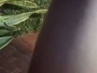 agustinasaenz camsoda stream image