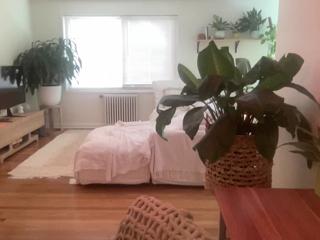 Dylan Knight flirt4free stream image