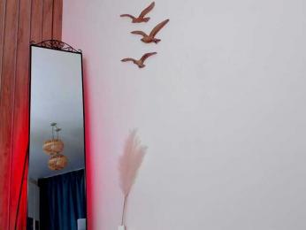 LeylaRoss bongacams stream image